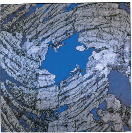 Fractal Series #20 by Jennifer Lynch